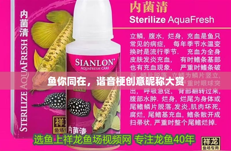 魚你同在，諧音梗創意昵稱大賞