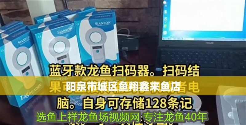 陽泉市城區魚翔鑫來魚店