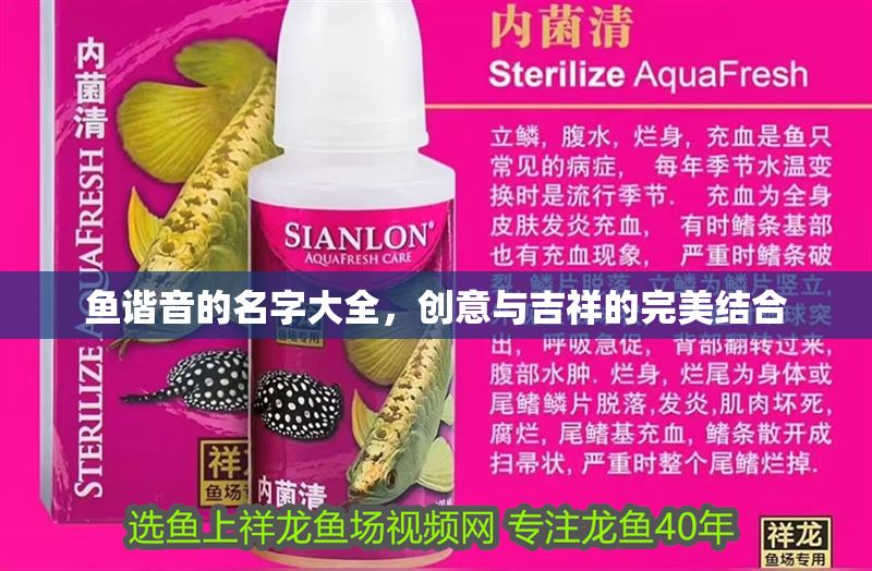 魚諧音的名字大全，創(chuàng)意與吉祥的完美結(jié)合