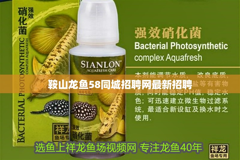 鞍山龍魚58同城招聘網(wǎng)最新招聘