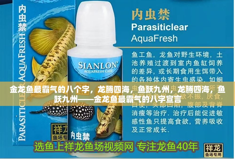 金龍魚最霸氣的八個字，龍騰四海，魚躍九州，龍騰四海，魚躍九州——金龍魚最霸氣的八字宣言