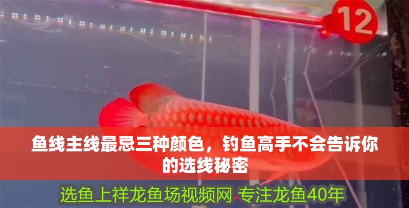 魚線主線最忌三種顏色，釣魚高手不會告訴你的選線秘密