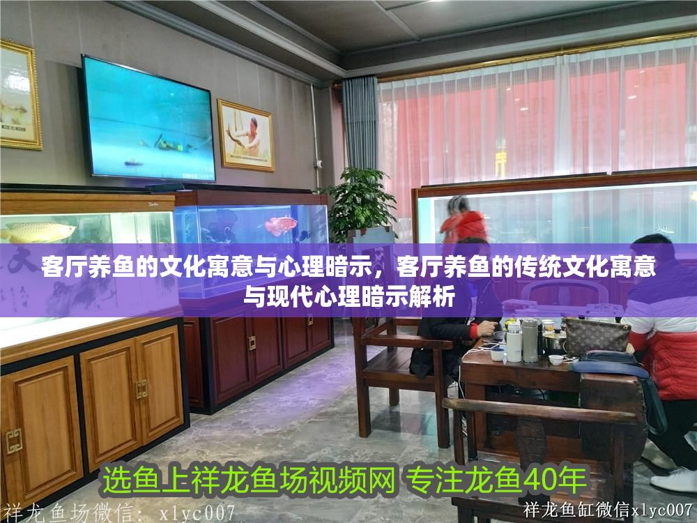 客廳養魚的文化寓意與心理暗示，客廳養魚的傳統文化寓意與現代心理暗示解析