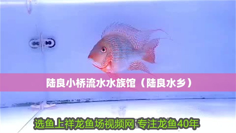 陸良小橋流水水族館（陸良水鄉）