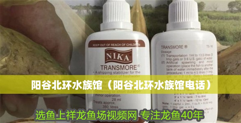 陽(yáng)谷北環(huán)水族館（陽(yáng)谷北環(huán)水族館電話）