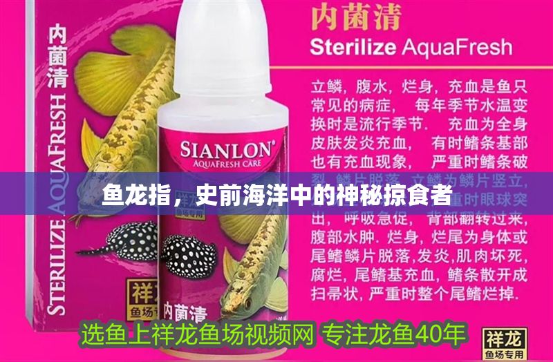 魚龍指，史前海洋中的神秘掠食者 魚龍指，史前海洋中的神秘掠食者 龍魚百科 第1張