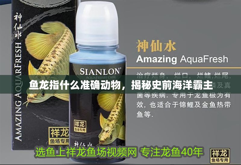 魚龍指什么準確動物，揭秘史前海洋霸主