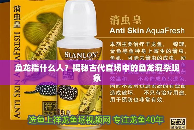 魚龍指什么人？揭秘古代官場中的魚龍混雜現象