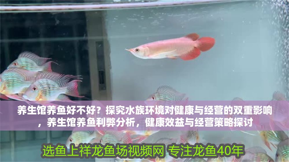 養(yǎng)生館養(yǎng)魚(yú)好不好？探究水族環(huán)境對(duì)健康與經(jīng)營(yíng)的雙重影響，養(yǎng)生館養(yǎng)魚(yú)利弊分析，健康效益與經(jīng)營(yíng)策略探討