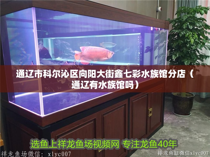 通遼市科爾沁區向陽大街鑫七彩水族館分店（通遼有水族館嗎）