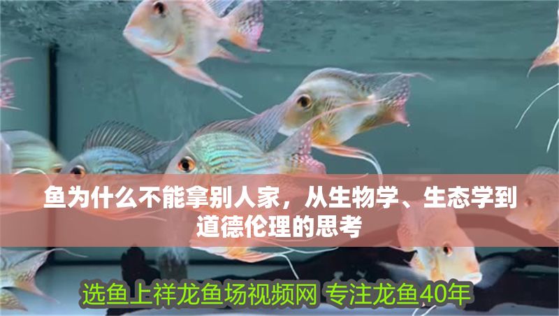 魚為什么不能拿別人家，從生物學、生態學到道德倫理的思考