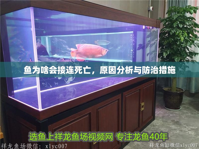 魚為啥會接連死亡，原因分析與防治措施