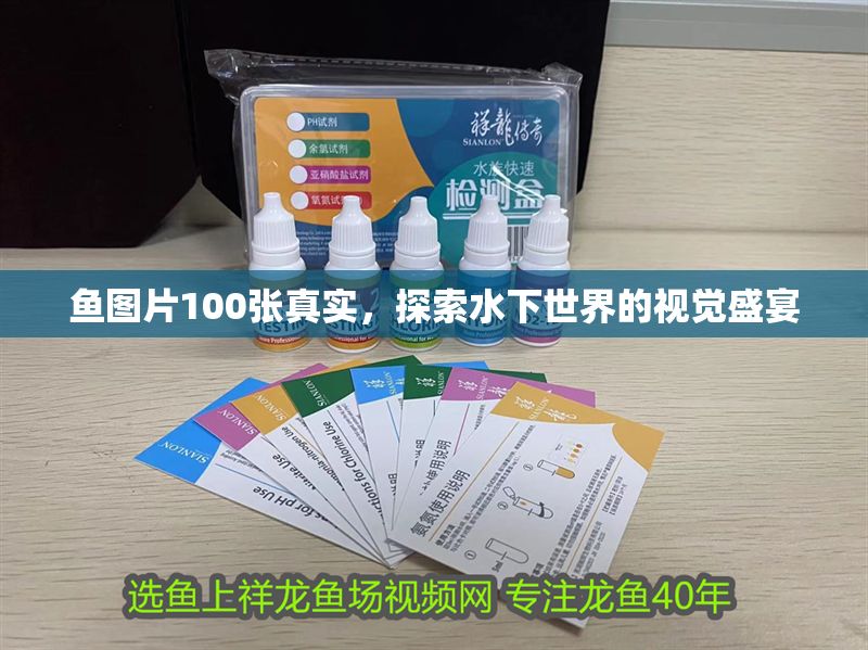 魚圖片100張真實，探索水下世界的視覺盛宴