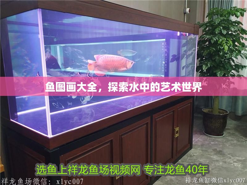 魚圖畫大全，探索水中的藝術世界