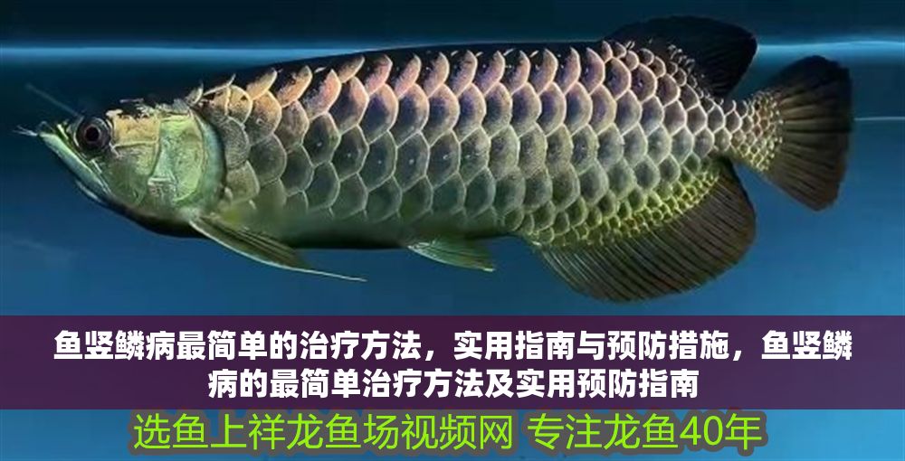 魚豎鱗病最簡(jiǎn)單的治療方法，實(shí)用指南與預(yù)防措施，魚豎鱗病的最簡(jiǎn)單治療方法及實(shí)用預(yù)防指南