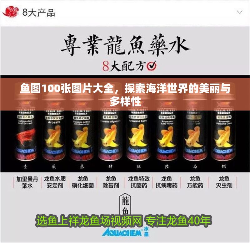 魚圖100張圖片大全，探索海洋世界的美麗與多樣性