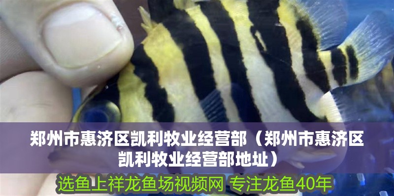 鄭州市惠濟區凱利牧業經營部（鄭州市惠濟區凱利牧業經營部地址）