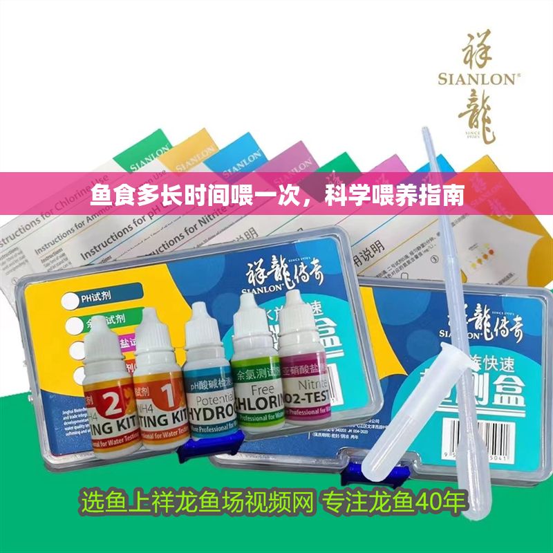 魚食多長時間喂一次，科學喂養指南