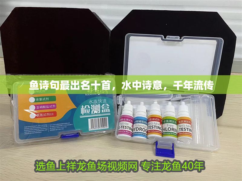 魚詩句最出名十首，水中詩意，千年流傳