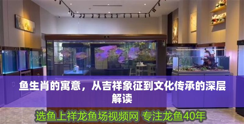 魚生肖的寓意，從吉祥象征到文化傳承的深層解讀