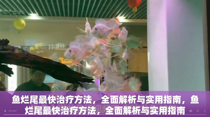 魚(yú)爛尾最快治療方法，全面解析與實(shí)用指南，魚(yú)爛尾最快治療方法，全面解析與實(shí)用指南