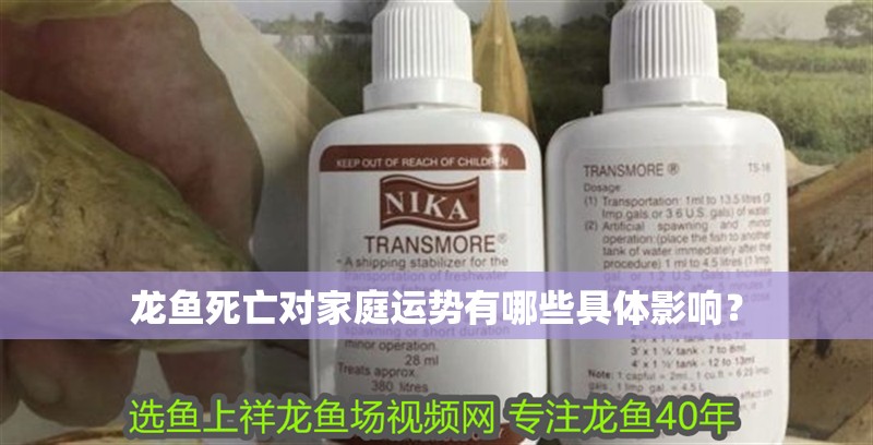 龍魚死亡對家庭運勢有哪些具體影響？