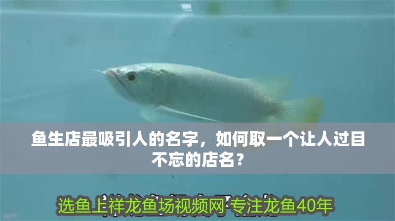 魚生店最吸引人的名字，如何取一個(gè)讓人過目不忘的店名？