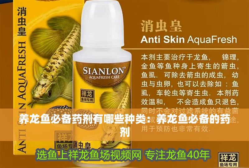 養龍魚必備藥劑有哪些種類：養龍魚必備的藥劑