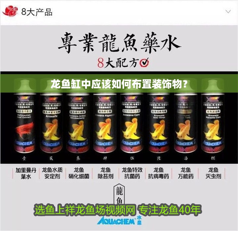 龍魚缸中應該如何布置裝飾物？