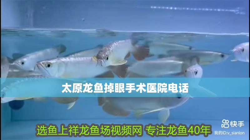 太原龍魚掉眼手術醫院電話