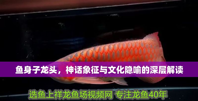 魚身子龍頭，神話象征與文化隱喻的深層解讀 魚身子龍頭，神話象征與文化隱喻的深層解讀 龍魚百科 第1張