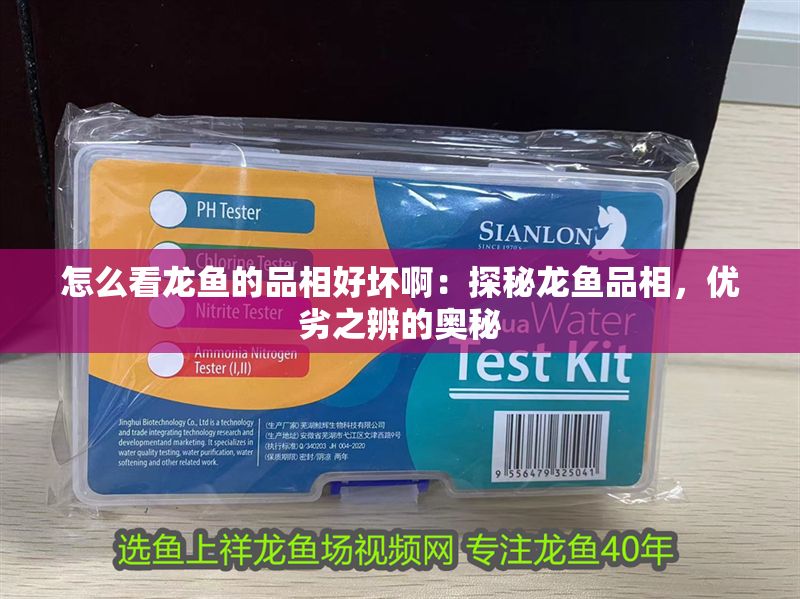 怎么看龍魚(yú)的品相好壞啊：探秘龍魚(yú)品相，優(yōu)劣之辨的奧秘