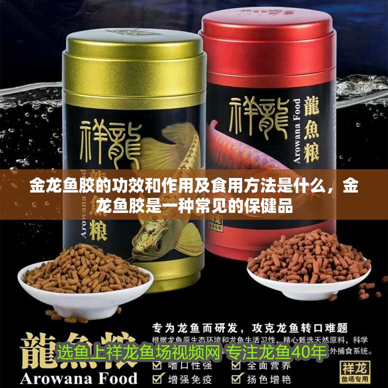 金龍魚(yú)膠的功效和作用及食用方法是什么，金龍魚(yú)膠是一種常見(jiàn)的保健品 金龍魚(yú)膠的功效和作用及食用方法是什么，金龍魚(yú)膠是一種常見(jiàn)的保健品 龍魚(yú)百科 第6張