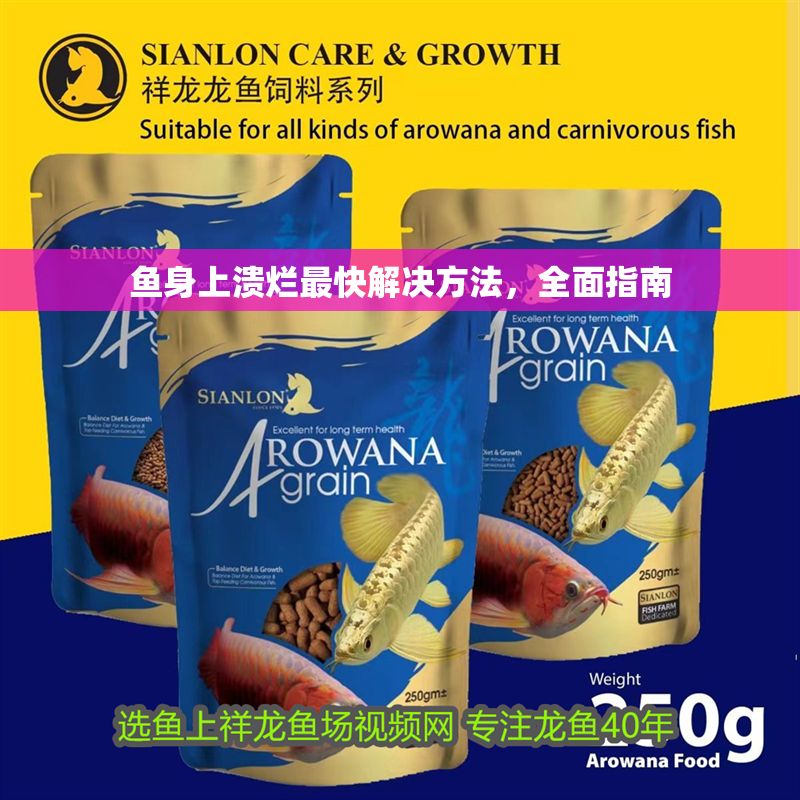 魚身上潰爛最快解決方法，全面指南