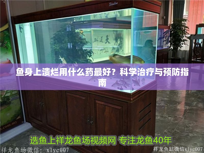 魚身上潰爛用什么藥最好？科學治療與預防指南