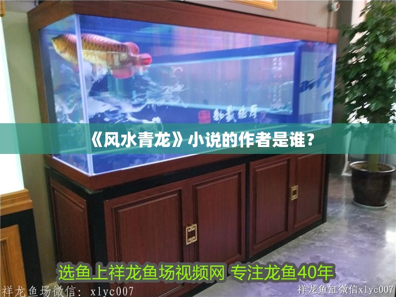 《風(fēng)水青龍》小說的作者是誰？