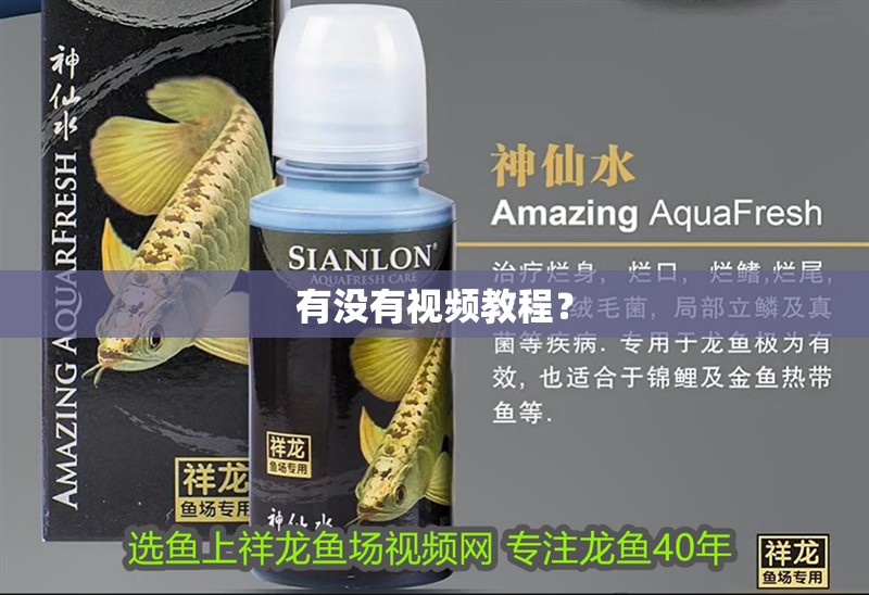 有沒有視頻教程？