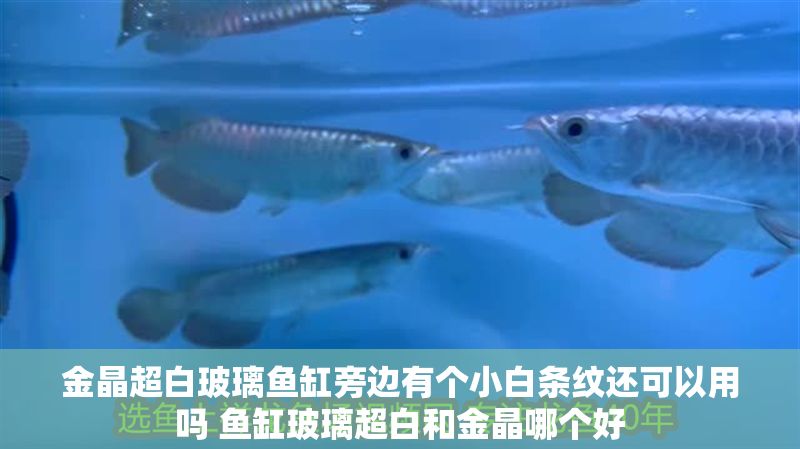 金晶超白玻璃魚缸旁邊有個小白條紋還可以用嗎 魚缸玻璃超白和金晶哪個好