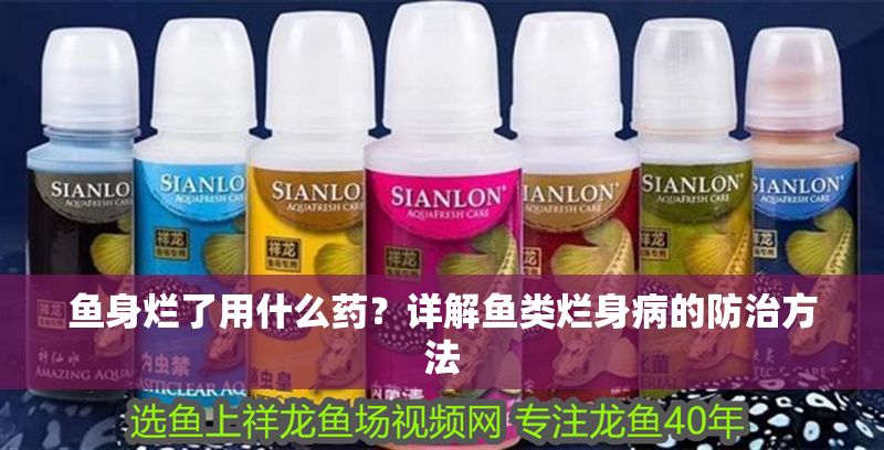 魚身爛了用什么藥？詳解魚類爛身病的防治方法
