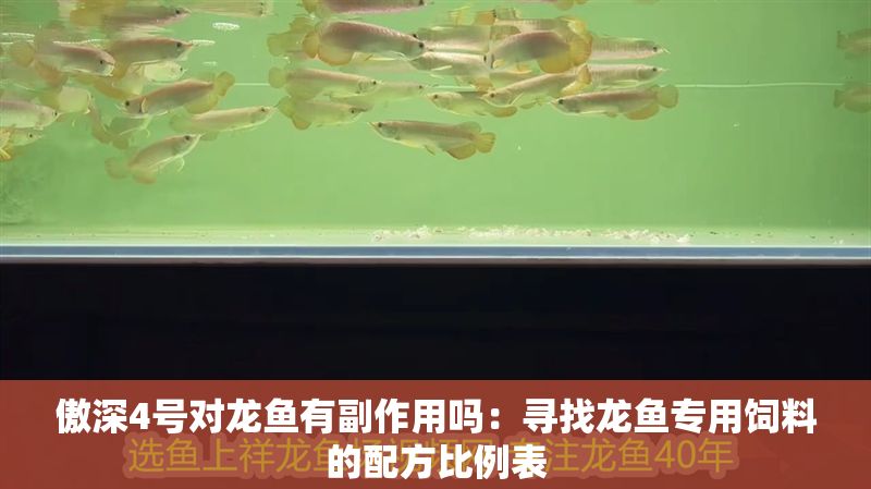 傲深4號對龍魚有副作用嗎：尋找龍魚專用飼料的配方比例表