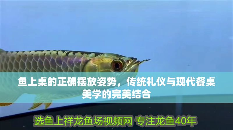 魚上桌的正確擺放姿勢，傳統(tǒng)禮儀與現(xiàn)代餐桌美學的完美結合 魚上桌的正確擺放姿勢，傳統(tǒng)禮儀與現(xiàn)代餐桌美學的完美結合 龍魚百科 第1張
