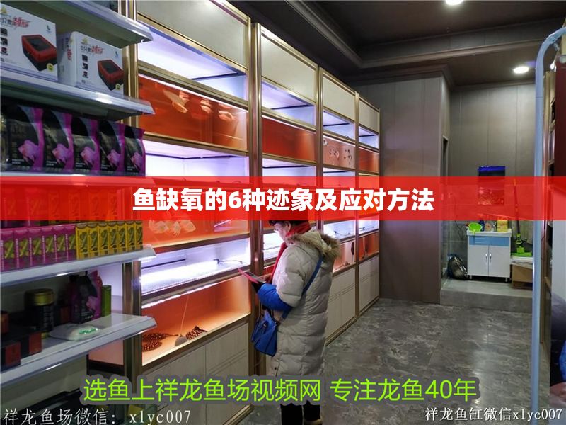 魚缺氧的6種跡象及應對方法