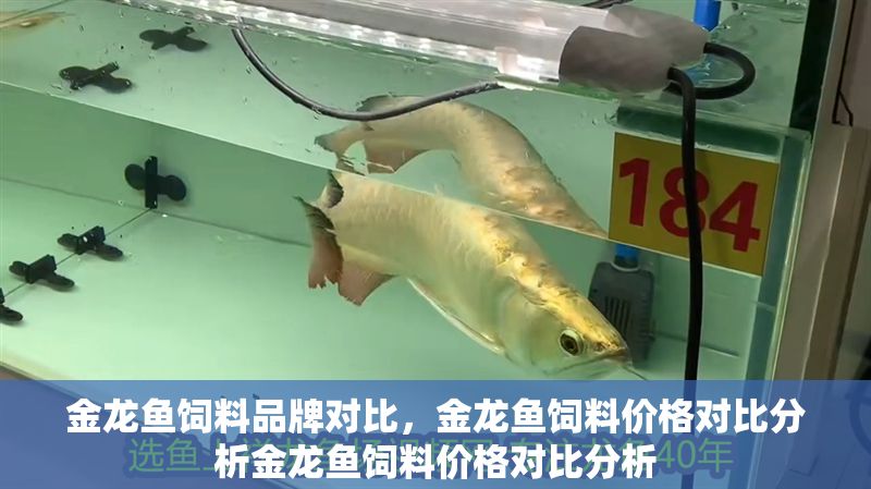 金龍魚飼料品牌對比，金龍魚飼料價格對比分析金龍魚飼料價格對比分析