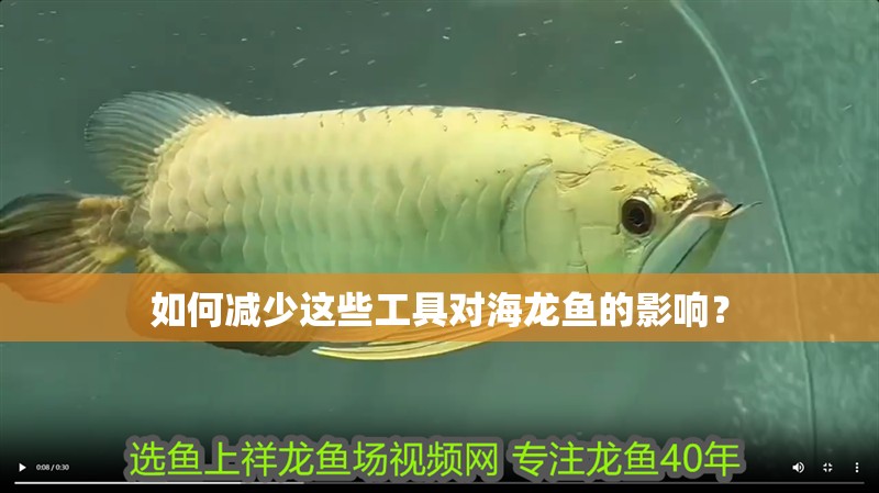 如何減少這些工具對海龍魚的影響？