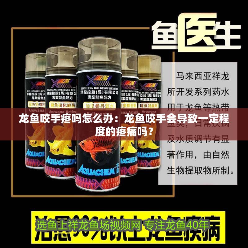 龍魚咬手疼嗎怎么辦：龍魚咬手會導致一定程度的疼痛嗎？