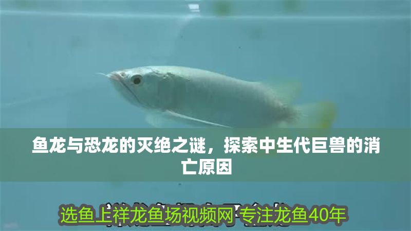 魚(yú)龍與恐龍的滅絕之謎，探索中生代巨獸的消亡原因