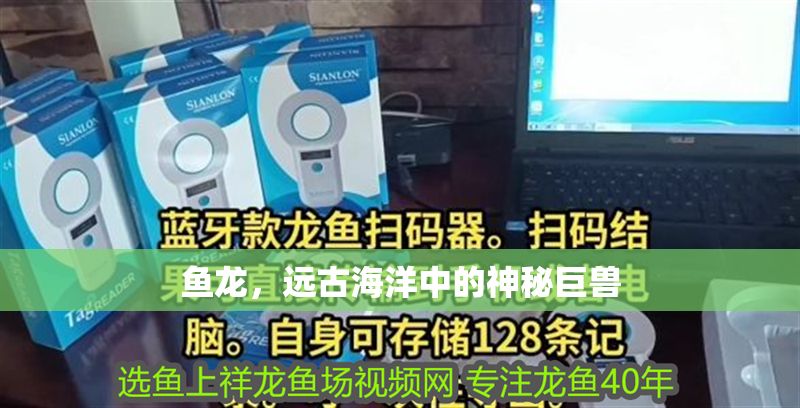 魚龍，遠古海洋中的神秘巨獸