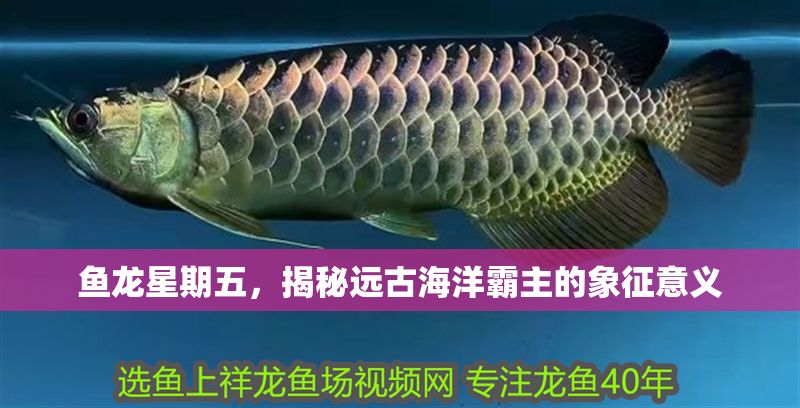 魚龍星期五，揭秘遠古海洋霸主的象征意義