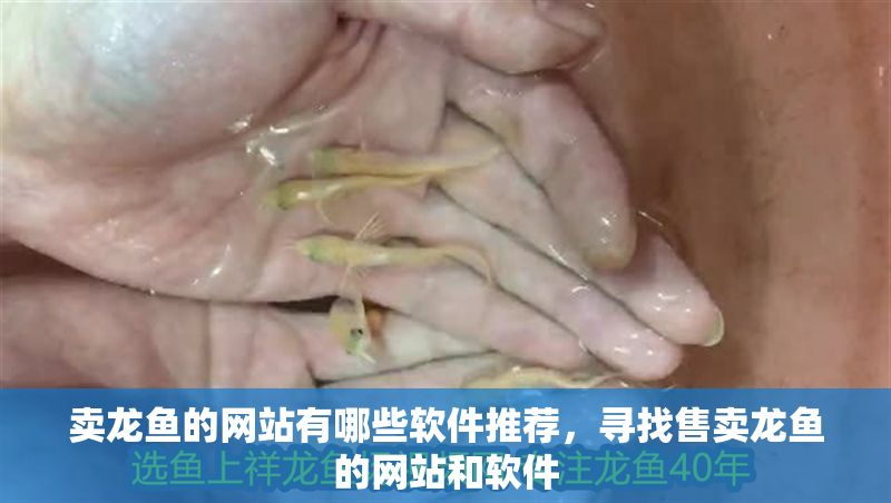 賣龍魚的網站有哪些軟件推薦，尋找售賣龍魚的網站和軟件