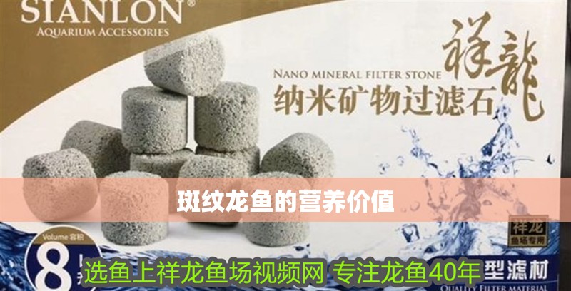 斑紋龍魚的營養(yǎng)價值